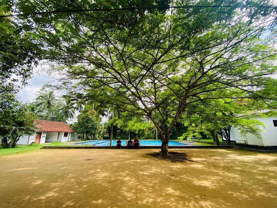 Randiyaepiliyagoda Resort Avissawella Exteriör bild