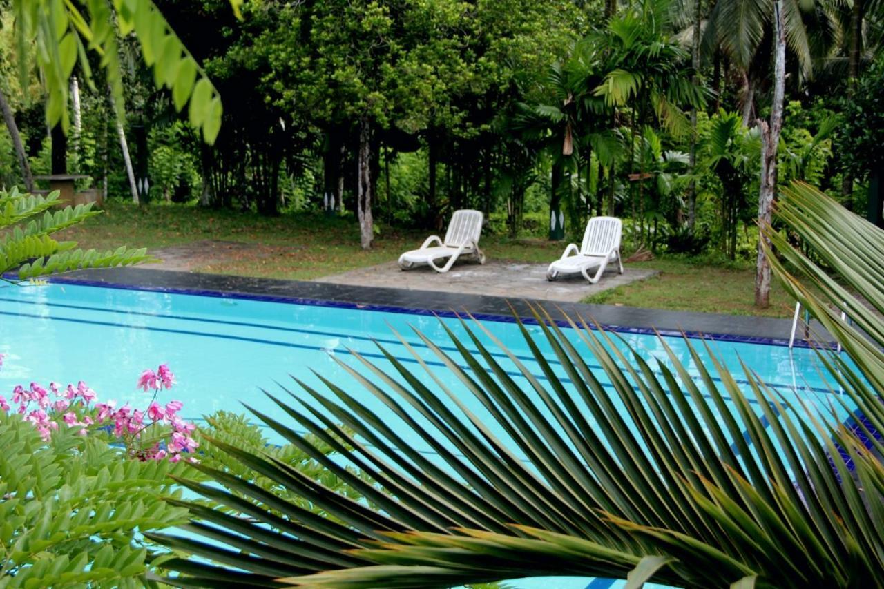Randiyaepiliyagoda Resort Avissawella Exteriör bild